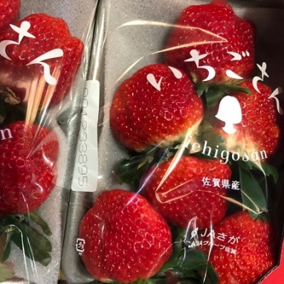 佐賀県産いちごさん約960g(約240g×4パック)