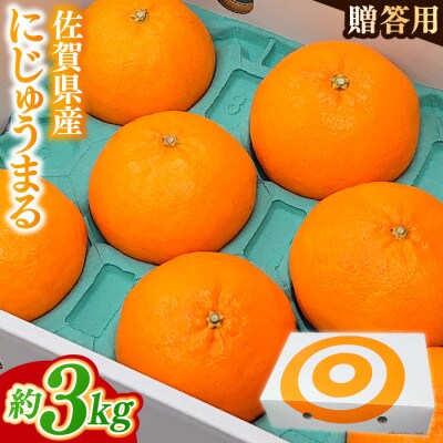 佐賀県産にじゅうまる(約3kg)(贈答用)