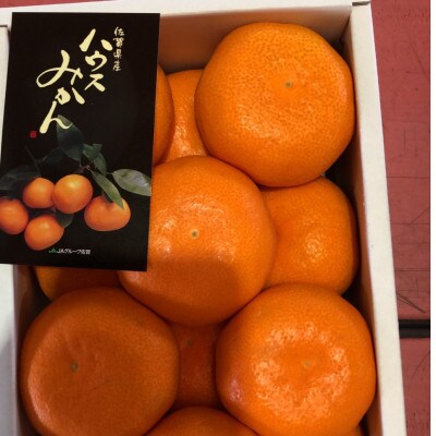 【発送月固定定期便】佐賀の贅沢柑橘全4回