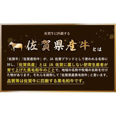 厳選!!佐賀県産黒毛和牛ヒレステーキ1.26kg(6～7枚)