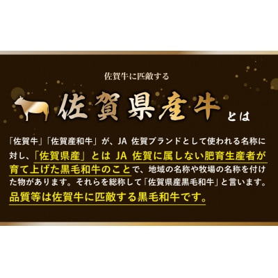 佐賀県産黒毛和牛切り落とし(1.18kg)