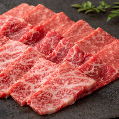 【発送月固定定期便】佐賀牛「おためしコース」全6回