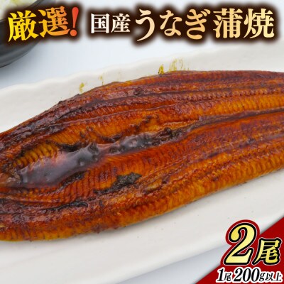 厳選!国産うなぎ蒲焼き2尾!!(200g以上)