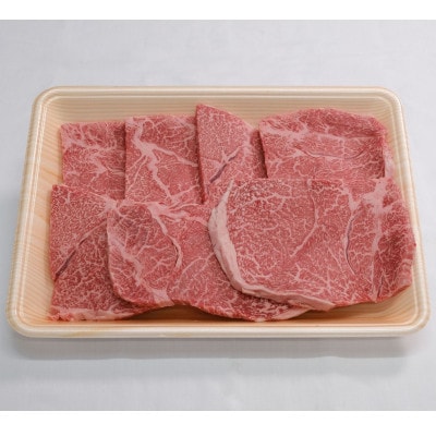 【厳選】佐賀牛 赤身ステーキ 500g(佐賀県)【41AEAC015】