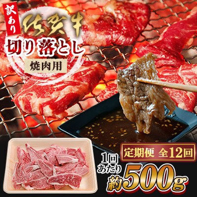 【毎月定期便】佐賀牛 焼肉用 切り落とし 500g(佐賀県)[41AEAC006]全12回