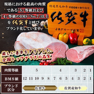 【毎月定期便】【厳選】佐賀牛 バラ切落としスライス500g(佐賀県) [41AEAC011]全6回