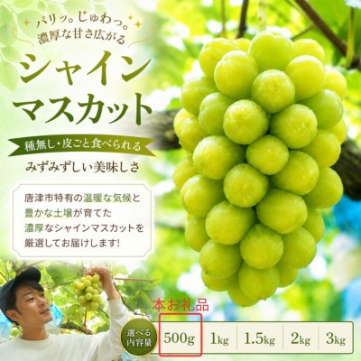 【濃厚芳醇】シャインマスカット 500g 佐賀県唐津産(佐賀県)