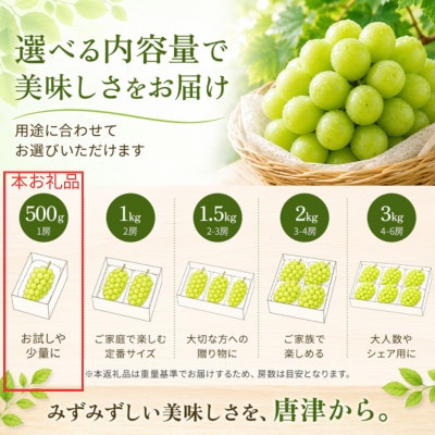 【濃厚芳醇】シャインマスカット 500g 佐賀県唐津産(佐賀県)