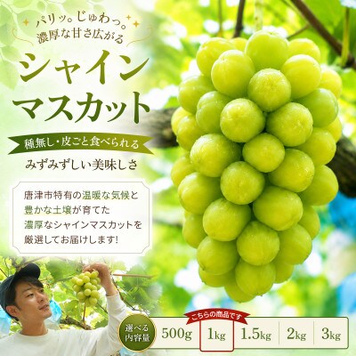 【濃厚芳醇】シャインマスカット 1kg 佐賀県唐津産(佐賀県)