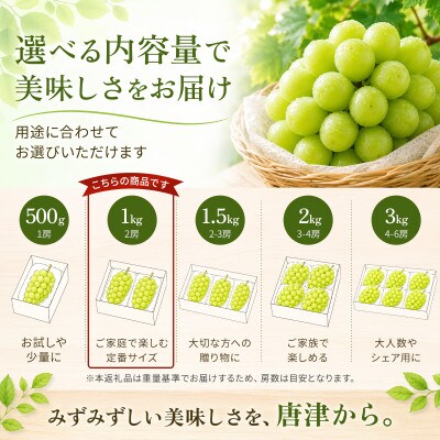 【濃厚芳醇】シャインマスカット 1kg 佐賀県唐津産(佐賀県)