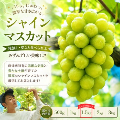 【濃厚芳醇】シャインマスカット 1.5kg 佐賀県唐津産(佐賀県)