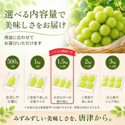 【濃厚芳醇】シャインマスカット 1.5kg 佐賀県唐津産(佐賀県)
