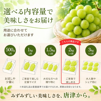 【濃厚芳醇】シャインマスカット 2kg 佐賀県唐津産(佐賀県)