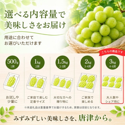 【濃厚芳醇】シャインマスカット 3kg 佐賀県唐津産(佐賀県)