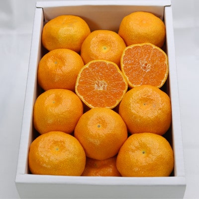 【全国出荷量1位】佐賀県ハウスみかん 1.8kg 高級甘熟みかん(佐賀県)41ABAA024