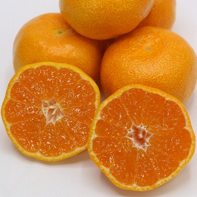 にじゅうまる　5kg(佐賀県)