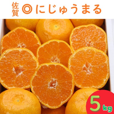 ◎にじゅうまる◎ 5kg 佐賀県産【高級柑橘みかん】(佐賀県)41ABAA023