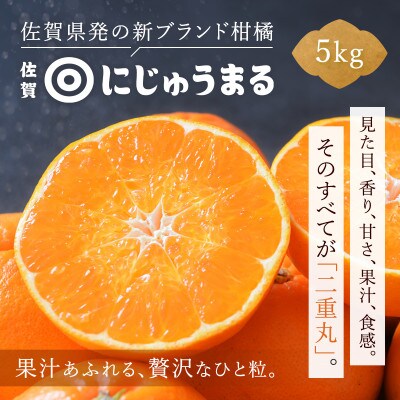 にじゅうまる 5kg 佐賀県産【高級柑橘みかん】(佐賀県)41ABAA023