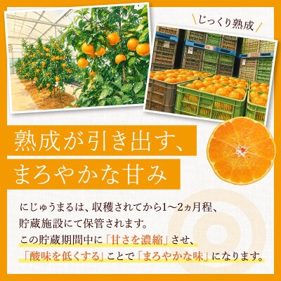 にじゅうまる 5kg 佐賀県産【高級柑橘みかん】(佐賀県)41ABAA023