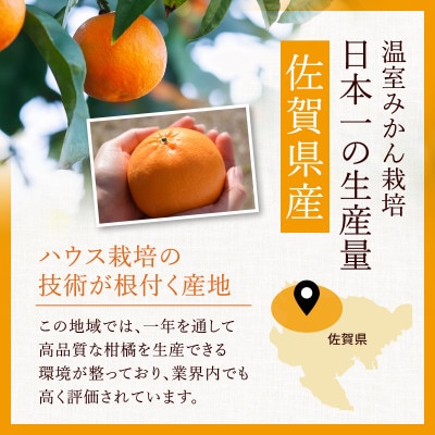 にじゅうまる 5kg 佐賀県産【高級柑橘みかん】(佐賀県)41ABAA023