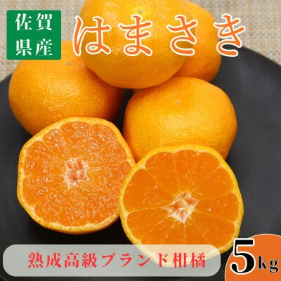 【特選甘熟みかん】はまさき 5kg (佐賀県) 41ABAA022