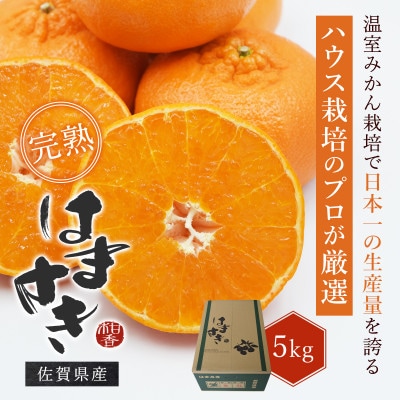 【特選甘熟みかん】はまさき 5kg (佐賀県) 41ABAA022