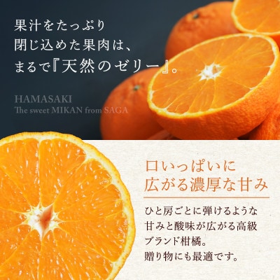 【特選甘熟みかん】はまさき 5kg (佐賀県) 41ABAA022