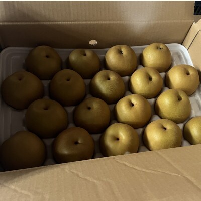 梨　5kg【2026年7月より順次発送】(佐賀県)