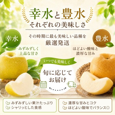 【旬の味覚】梨 5kg (佐賀県)　41ABAA025