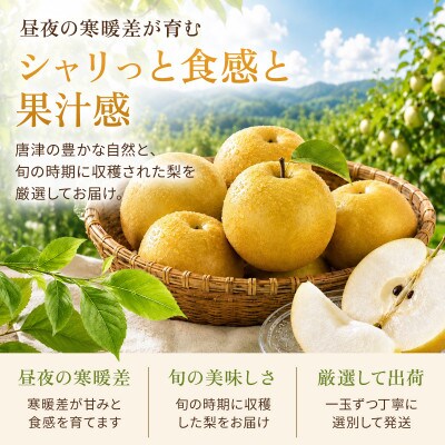【旬の味覚】梨 5kg (佐賀県)　41ABAA025