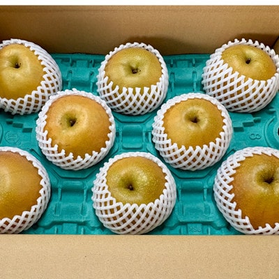 【旬の味覚】梨 5kg (佐賀県)　41ABAA025