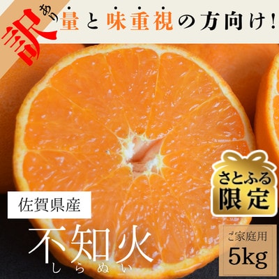 【さとふる限定】【訳あり】不知火5kg 佐賀県産(佐賀県)