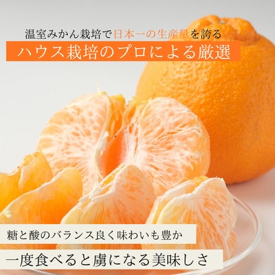 【さとふる限定】【訳あり】不知火5kg 佐賀県産(佐賀県)