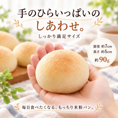 グルテンフリーヴィーガン 米粉まるパン 10個セット A0192-0013(佐賀県)