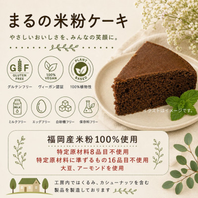 グルテンフリーヴィーガン米粉で作ったガトーショコラ(18cmホール)(佐賀県)