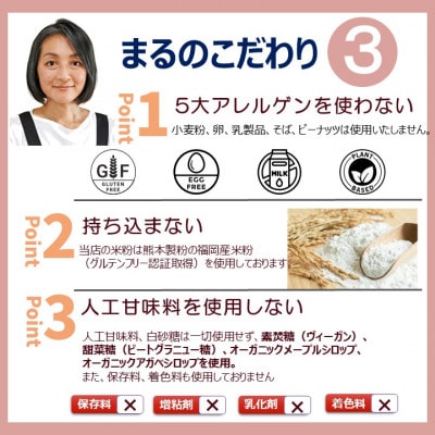 【セット】グルテンフリー、ヴィーガンスイーツ9点セット(佐賀県)(NEW07)