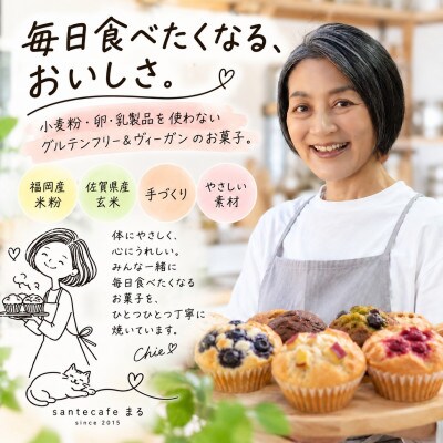 【セット】グルテンフリー、ヴィーガンスイーツ9点セット(佐賀県)(NEW07)