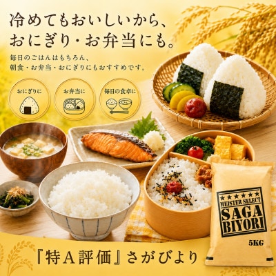 令和7年産 さがびより 白米5kg 五つ星お米マイスター厳選【特A評価】(佐賀県)
