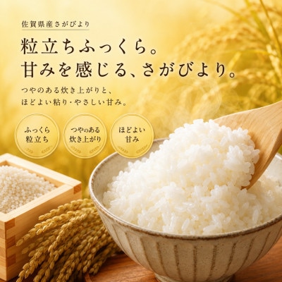 令和7年産 さがびより 白米10kg(5kg×2袋)五つ星お米マイスター厳選(佐賀県)