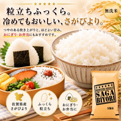 令和7年産【無洗米】さがびより10kg(5kg×2袋)五つ星お米マイスター厳選(佐賀県)
