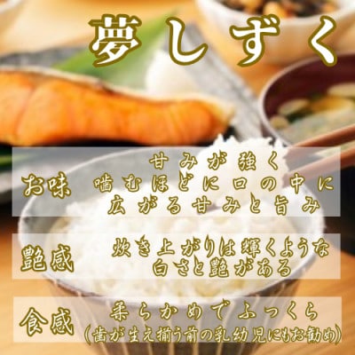 令和7年産『夢しずく』白米10kg(5kg×2袋) 五つ星お米マイスター厳選【特A評価】(佐賀県)