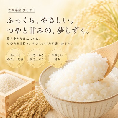 令和7年産『夢しずく』白米10kg(5kg×2袋) 五つ星お米マイスター厳選(佐賀県)