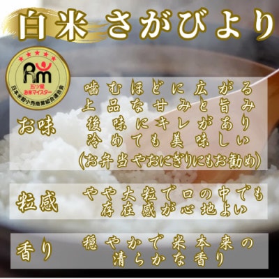新米 令和7年産《白米食べ比べ》さがびより5kg・夢しずく5kg(計10kg)【特A評価】(佐賀県)