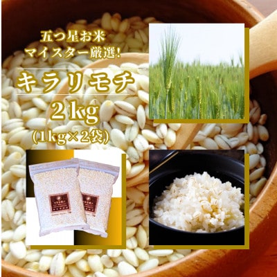 L`2kgwx(1kg×2)(ꌧ)