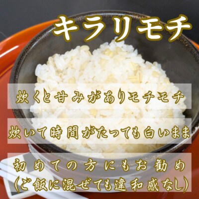 キラリモチ2kg『もち麦』(1kg×2袋)(佐賀県)