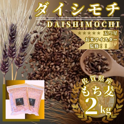 ダイシモチ2kg『もち麦』(1kg×2袋)(佐賀県)