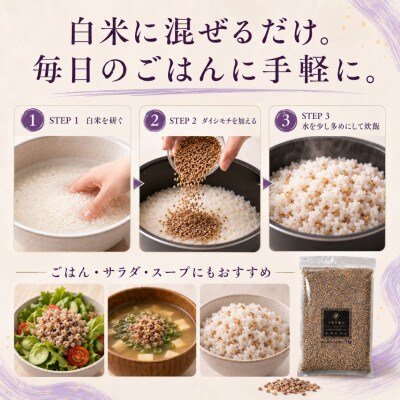 ダイシモチ2kg『もち麦』(1kg×2袋)(佐賀県)