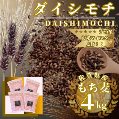 ダイシモチ4kg『もち麦』(1kg×4袋)(佐賀県)
