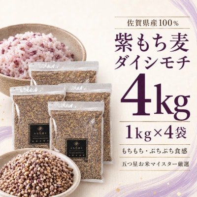 ダイシモチ4kg『もち麦』(1kg×4袋)(佐賀県)
