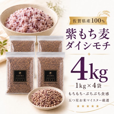 ダイシモチ4kg『もち麦』(1kg×4袋)(佐賀県)